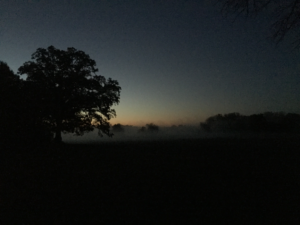 Sunrise over rural Illinois